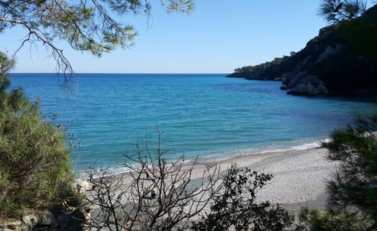 Olympos Çamlık 2
