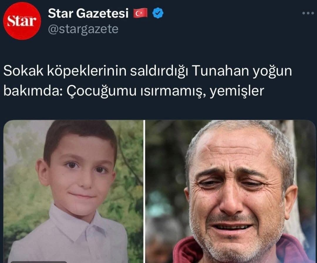 Yetkililer Mama Lobisinin Etkisinden Ne Zaman Kurtulacak?